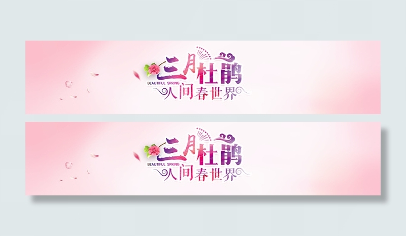 阳春三月粉色牡丹背景高清