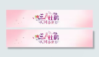 阳春三月粉色牡丹背景高清