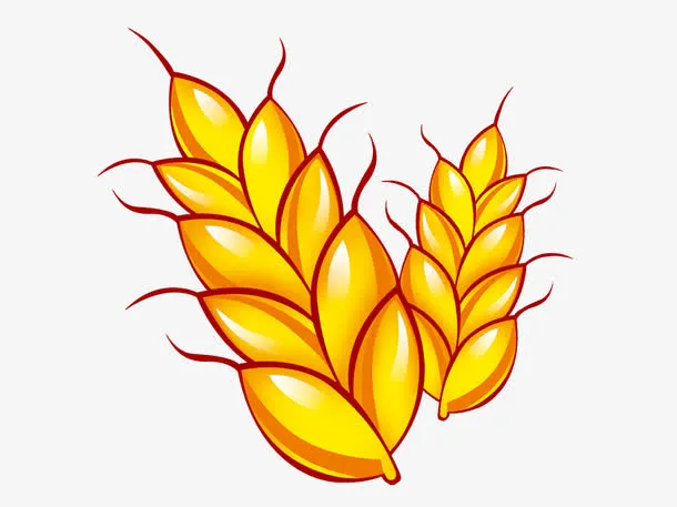手绘麦穗免抠