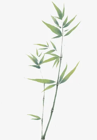 手绘竹叶素材免抠