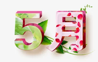 五月艺术字免抠