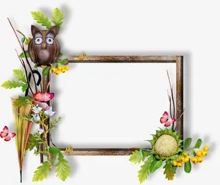 枝叶相框免抠