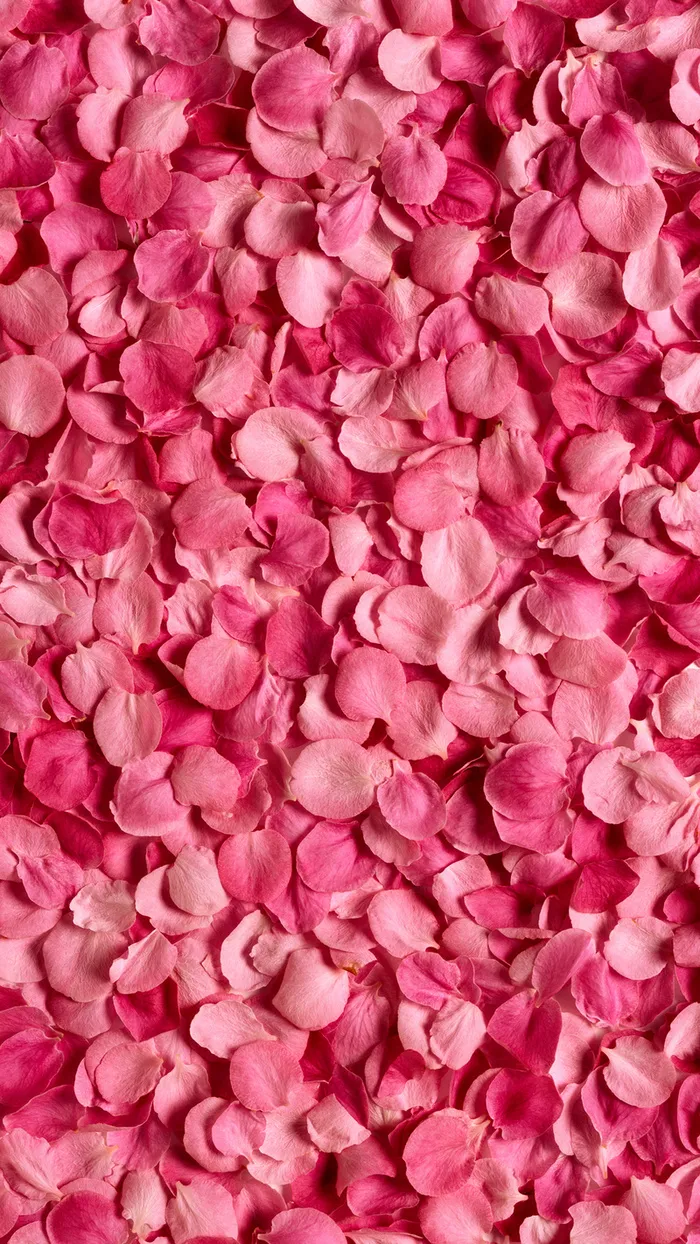 花瓣H5背景高清