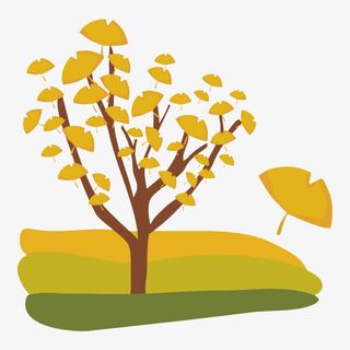 手绘银杏叶树免抠