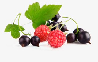 高清水果蔬菜免抠