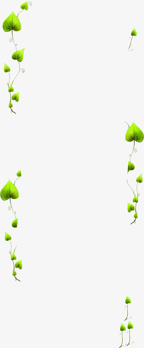 绿色藤蔓免抠