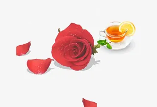 手绘玫瑰花免抠