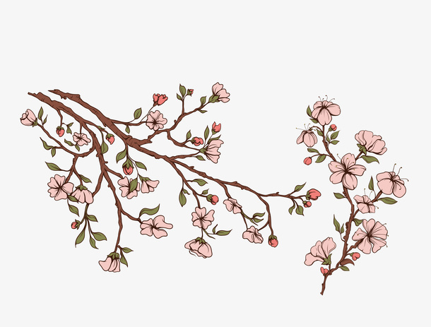 桃花免抠