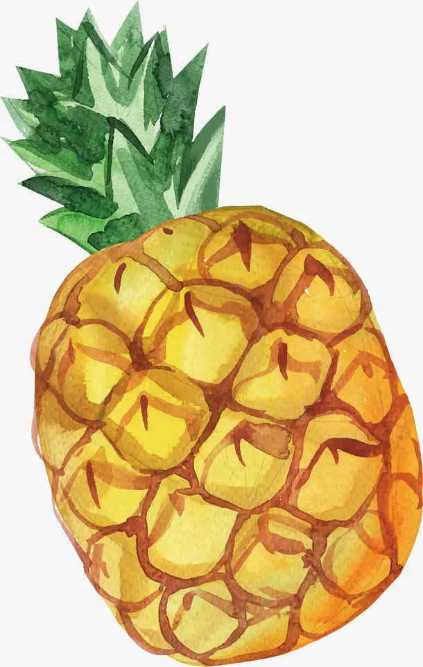 手绘水彩菠萝免抠