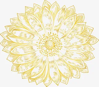 一朵盛开的鲜花素材图免抠