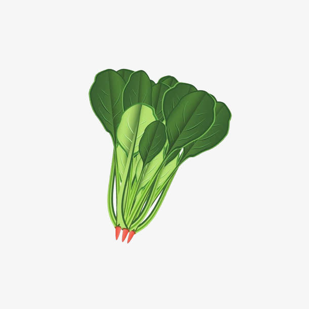 绿色菠菜免抠