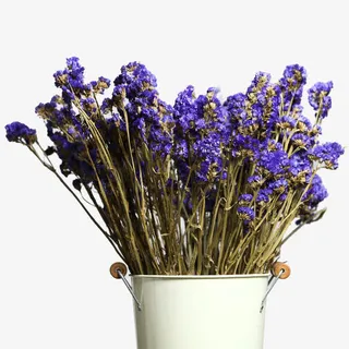 薰衣草干花免抠