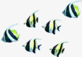 夏日海底动物小鱼群效果卡通大小免抠