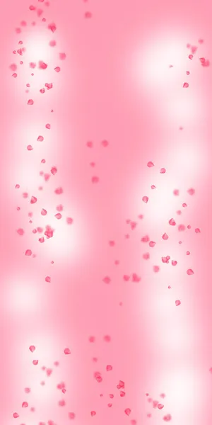 淘宝天猫首页背景