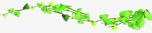 绿色藤蔓春天植物免抠
