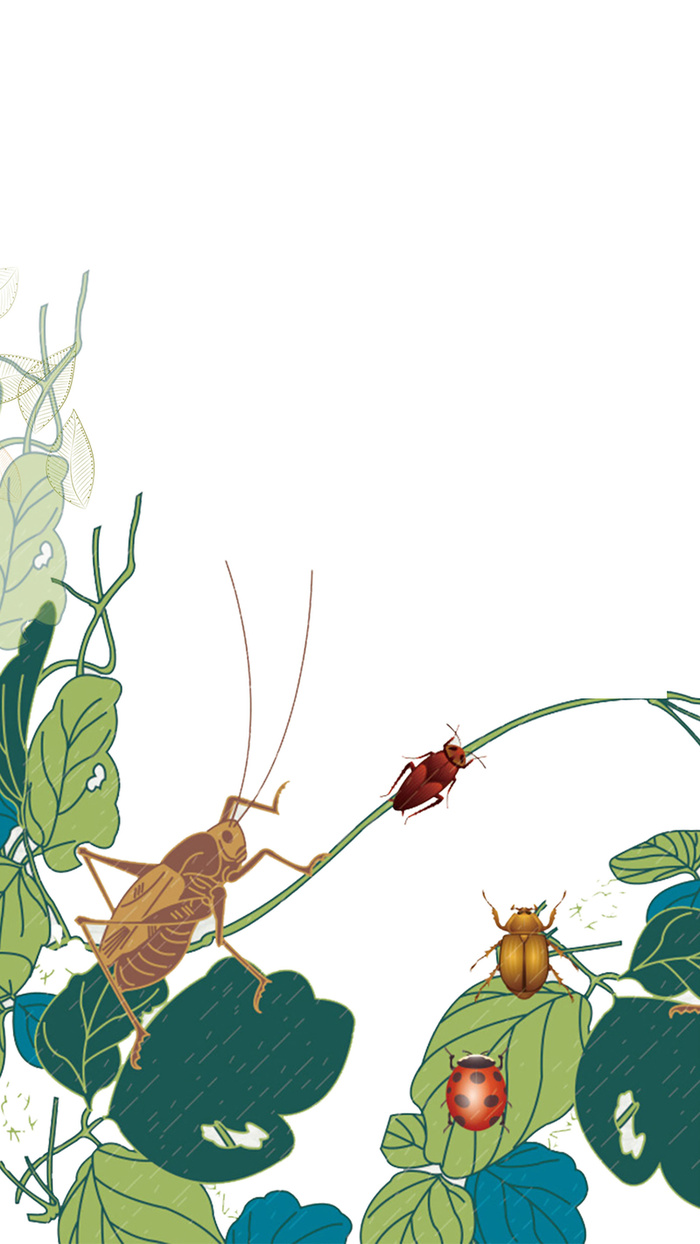 小清新惊蛰宣传海报高清