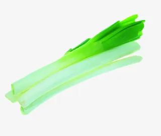 新鲜的嫩葱免抠