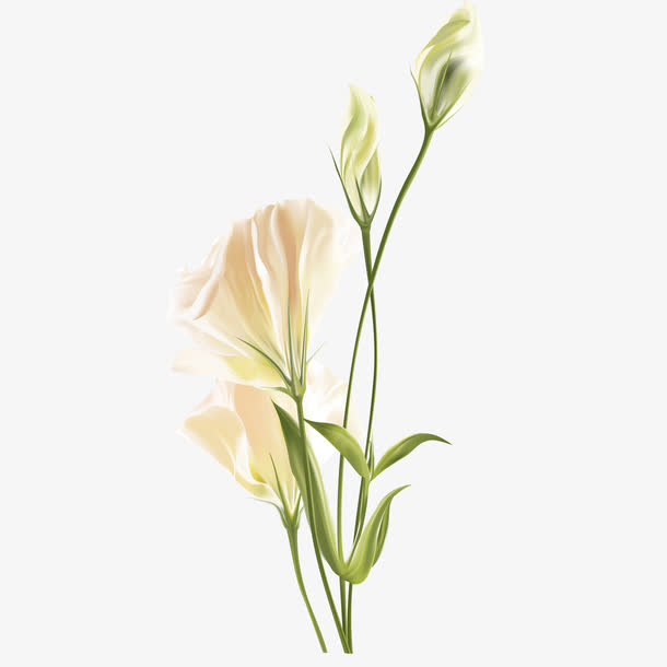 小清新插画风格免抠