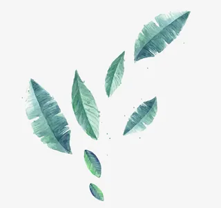 水彩绿叶漂浮素材免抠