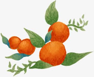 手绘精致果实树枝免抠