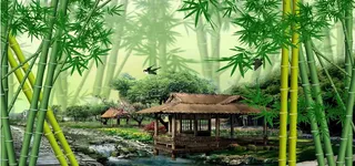 竹子背景高清