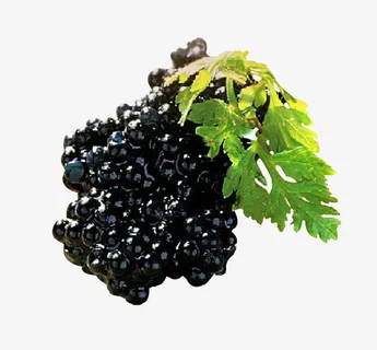 可口美味的黑鱼子酱免抠