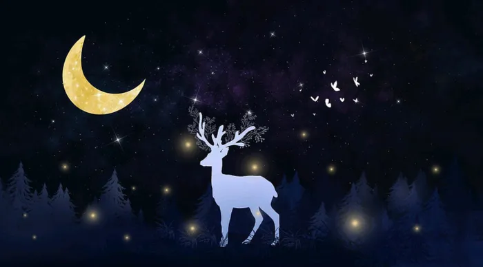 星空森林夜晚月亮高清