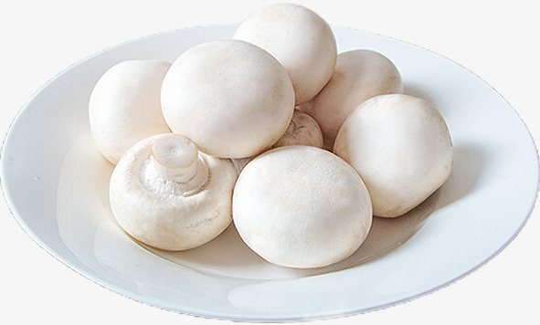 一盘新鲜的口蘑特写免抠