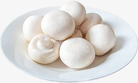 一盘新鲜的口蘑特写免抠