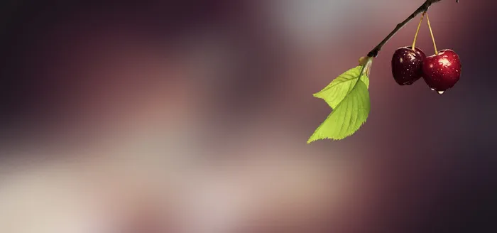 摄影背景图片高清