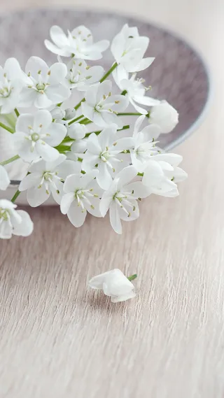 白色花简约小清新H5背景素材高清