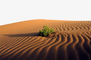 内蒙古腾格里沙漠免抠