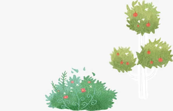 春天黄绿色草丛插图免抠