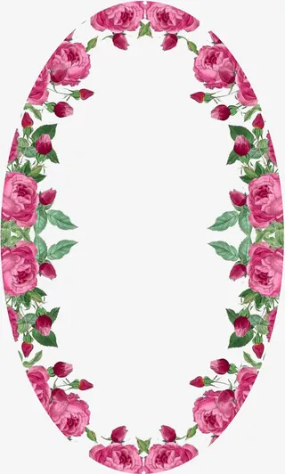 玫瑰花边框免抠