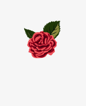 玫瑰花免抠