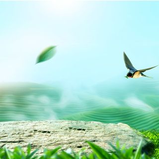 春归清新主图背景高清