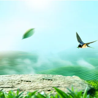 春归清新主图背景高清