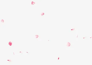 粉色梦幻花瓣漂浮素材免抠