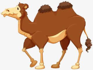 行走的骆驼免抠