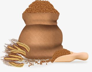 矢量手绘粮食免抠