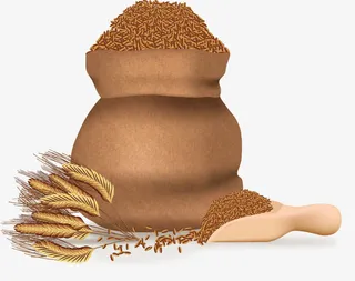 矢量手绘粮食免抠