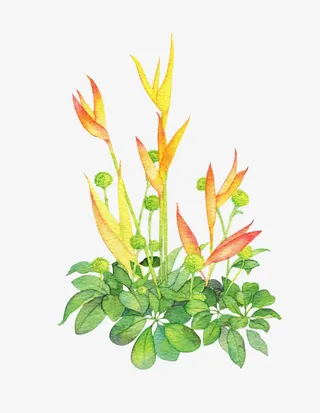 手绘绿叶黄色花朵免抠