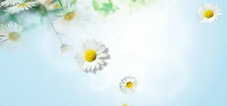 清新动感化妆品背景