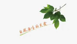 自然原生的关爱免抠