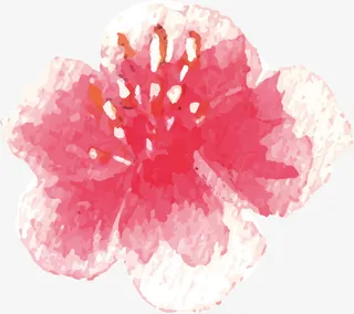 盛开的花PNG下载免抠