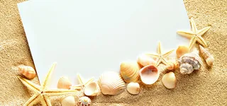 海滩海星贝壳海螺背景高清