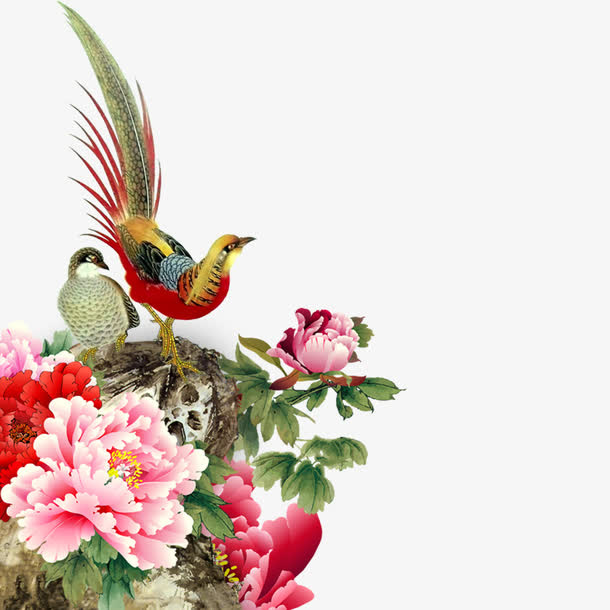 花鸟图免抠