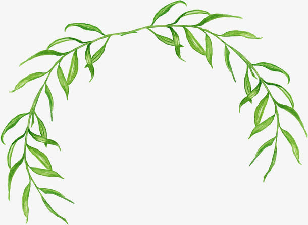 手绘绿色清新树枝免抠