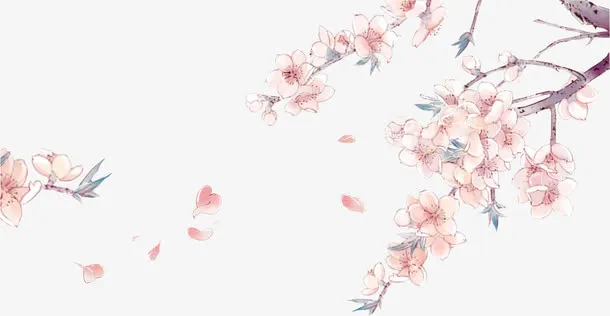 中国古风水彩插画素材免抠装饰植物元素