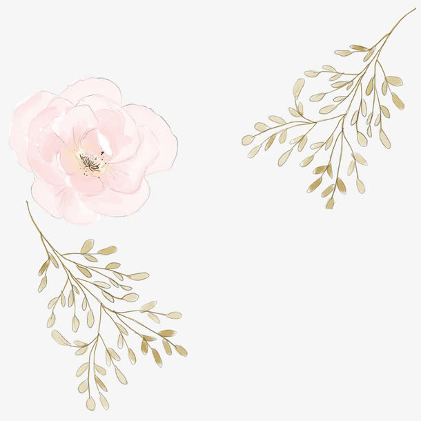 鲜花装饰png素材免抠